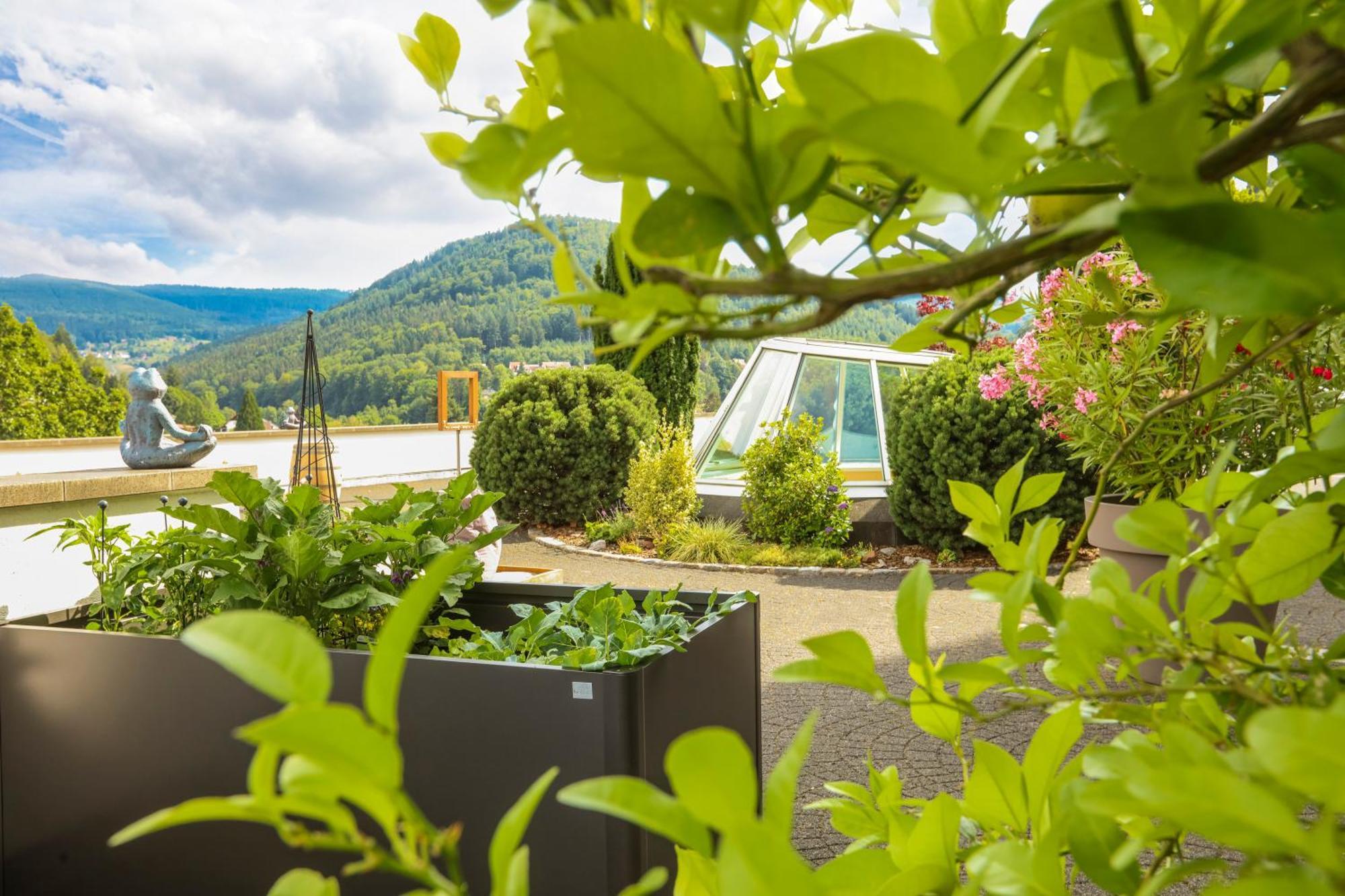Schwarzwald Panorama Hotel 4*