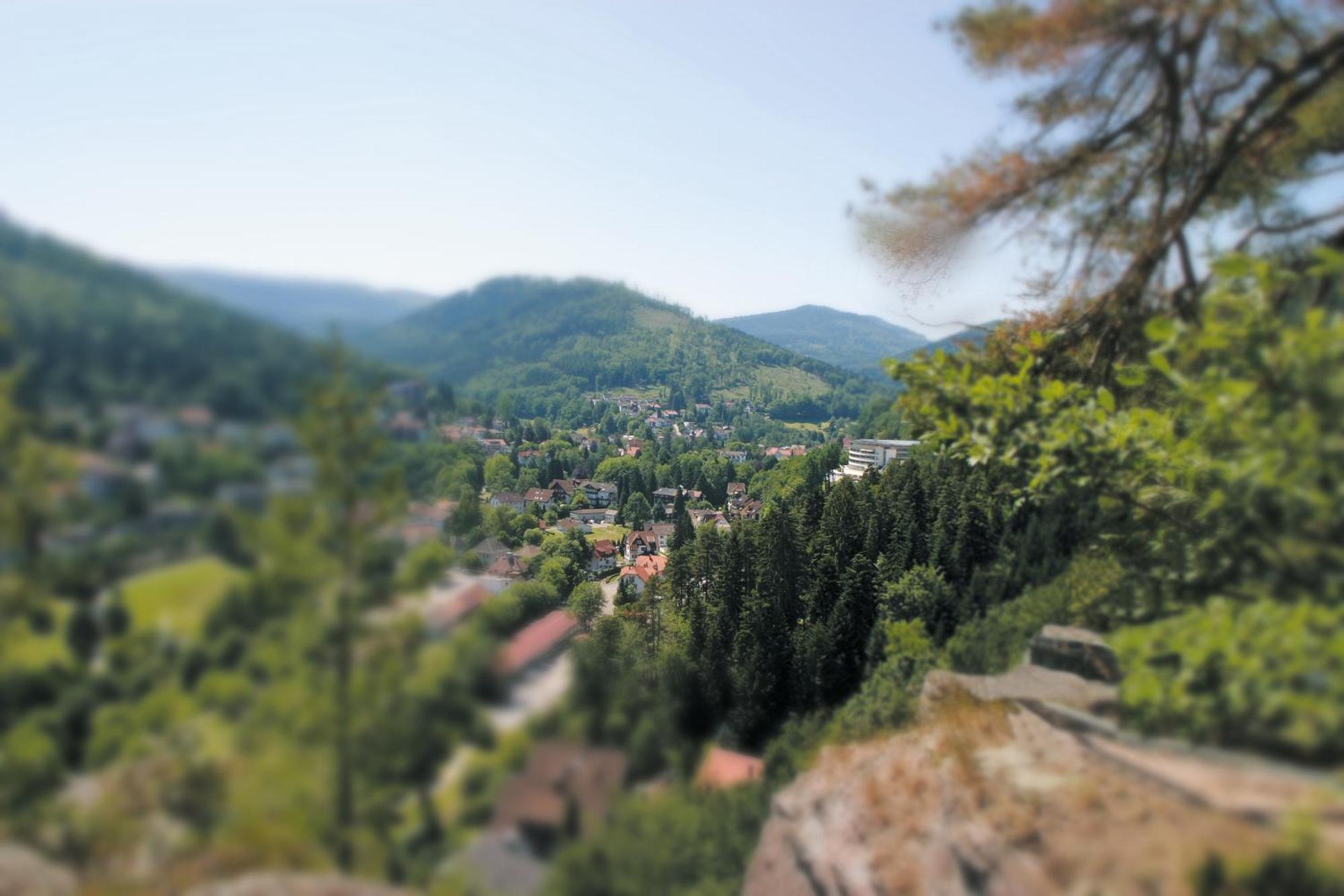 Schwarzwald Panorama 4* Bad Herrenalb